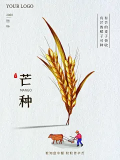 金色稻穗芒种宣传夏季二十四节气芒种海报