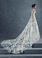 Shine Moda,透视婚纱,