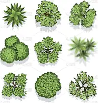 顶视图不同的植物和树木向量设置为建筑
