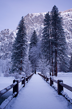 洫脃汐陽采集到雪景