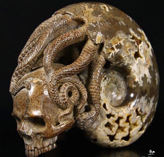 由菊石化石雕刻成的骷髅头骨工艺品（sku...