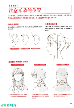 주미련采集到临摹素材