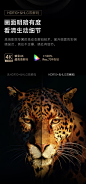 【大眼橙OBE_X6】大眼橙 X6 投影仪家用 投影机 家庭影院（真1080P更清晰 1300ANSI家用高亮 无感自动梯形校正 MEMC）【行情 报价 价格 评测】-京东