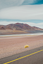 Untouched Landscapes of Atacama Desert 