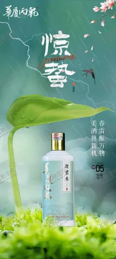 惊蛰节气产品海报 【酷图网】海报,白酒,二十四节气,惊蛰,春天,雨滴,叶子,