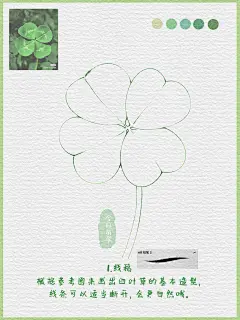 零基础学插画——四叶草教程2