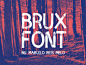 11款美翻了的时尚设计字体下载brux-bold-brush-font