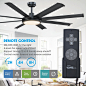 Amazon.com: Parrot Uncle Ceiling Fans with Lights, 60 Inch Black Ceiling Fan with LED Light and Remote Control, Large Ceiling Fan for Bedroom Patios Porch, Reversible Noiseless DC Motor, Dimmable : Tools & Home Improvement
