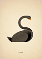 Animal Alphabet : An ongoing illustration project involving animals forming the letter shapes.