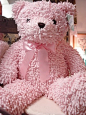 Pink Teddy