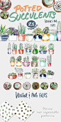 25种文艺范的绿色植物的手绘素材打包 [EPS] | 云瑞设计