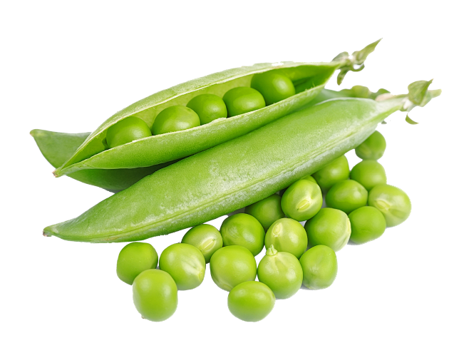 青豆 png  豌豆