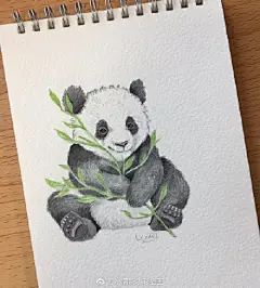 分享插画师 lilz_art ​手绘动物~ ​#彩铅#（转)via @小清新水彩插画 ​