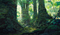 Green + GIF steps