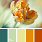 Color inspiration for design, wedding or outfit. More color pallets on <a href="http://color.romanuke.com" rel="nofollow" target="_blank">color.romanuke.com</a>.