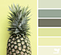 { pineapple palette } image via: @thebungalow22