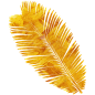 flower_and_leave _06