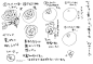 文章-蔷薇花分解画法 | 半次元-ACG同人创作&同好社群