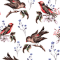 时尚手绘花卉小鸟矢量素材 - 素材中国16素材网