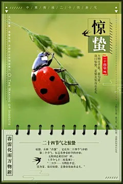 春天节气海报惊蛰宣传