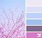 Design Seeds : Design Seeds color palettes ... posted daily for all who love color.