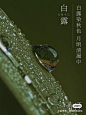 微信图片_20221007094629