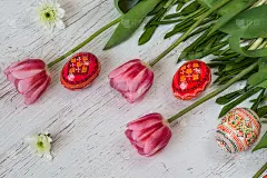 复活节背景与复活节彩蛋和粉红色郁金香在轻木制的背景