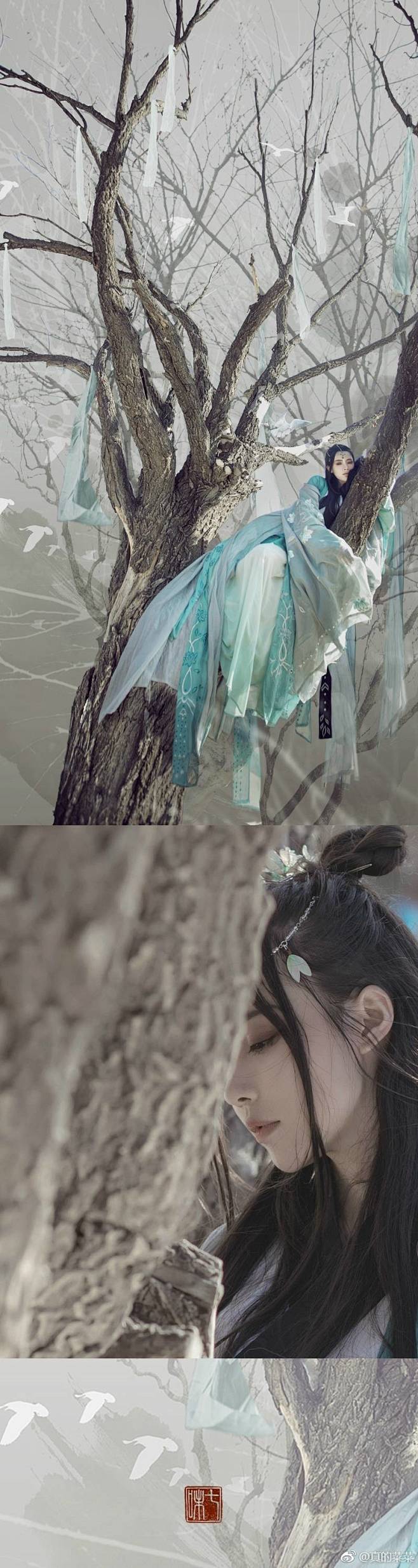 cn:真的菜菜