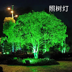 AYOU阿悠-采集到海报设计