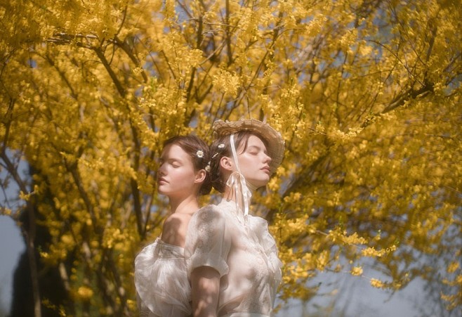 In Bloom | Vivienne ...