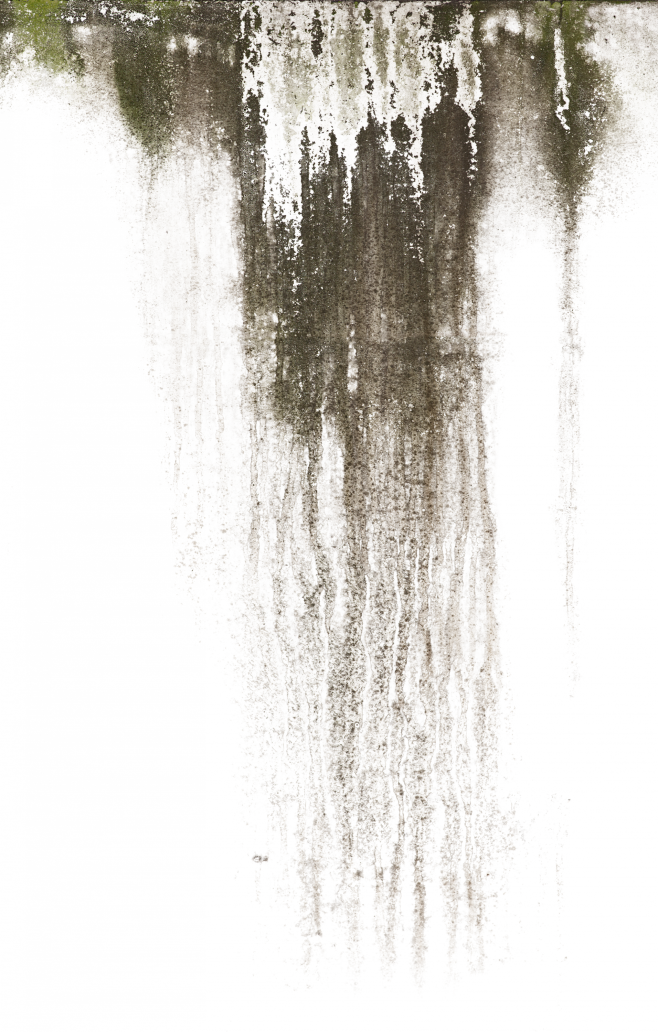 DecalsLeaking0202_1_...