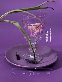 日常晒物鲜花简约界面风plog模板