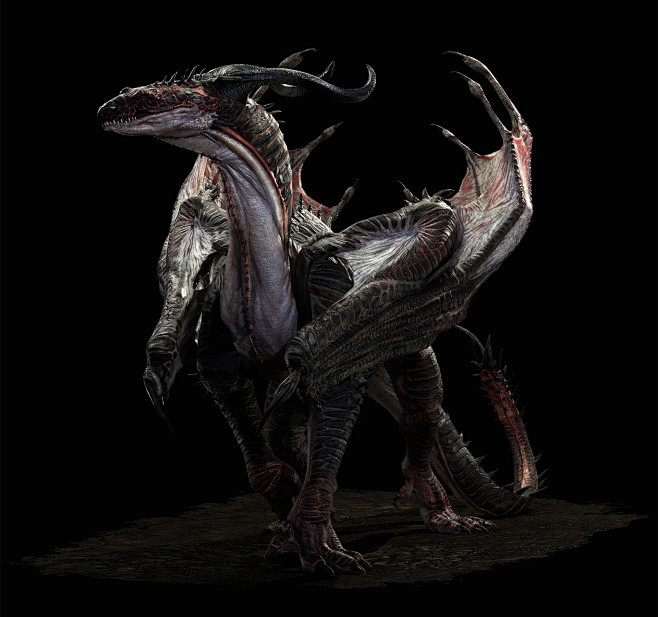 dragonhansolbaedragonconceptbyjaeminkim