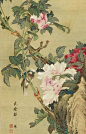 Kosuiken,  Peony and Bird, detail  19th century: 