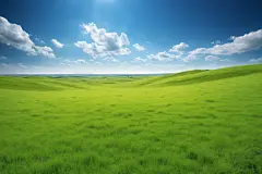 嫩草自然风光摄影图