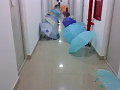 洋芋  的插画 下雨天