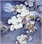 工笔花鸟画 周中耀
号素心斋主，生于1945年，湖南省长沙人。现为中国美术家协会会员，中国画家协会副主席，长沙理工大学客座教授。周氏作品追求天趣自然、充满生气，线条精微、律如乐韵，画面明快亮丽、光影交融，空间深遂、层次重重，富神秘感、耐人寻味，既保留了传统工笔花鸟画恬静、典雅的特点，亦结合了现实生活的体验及时代的审美意识。
周氏性格平和谦厚，重情意、轻名利。在他的作品中，人们可以感受到宁静而温馨的意境，并领略到画家的修养和内涵。周氏作品鲜明而独特的艺术风格和深厚的功力，现被誉为当代最具实力的中国工笔花鸟画