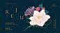 马来西亚《AYMEIR》品牌包装设计—Beauty from Within-古田路9号-品牌创意/版权保护平台
