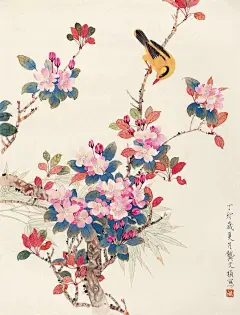 孤岛的画的照片 - 微相册