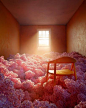 (56) Pinterest