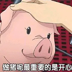 6221做猪呢，最重要的是开心 斗图 表情包 花瓣搜索【关键字+飞天胖虎】可以找到系列表情包