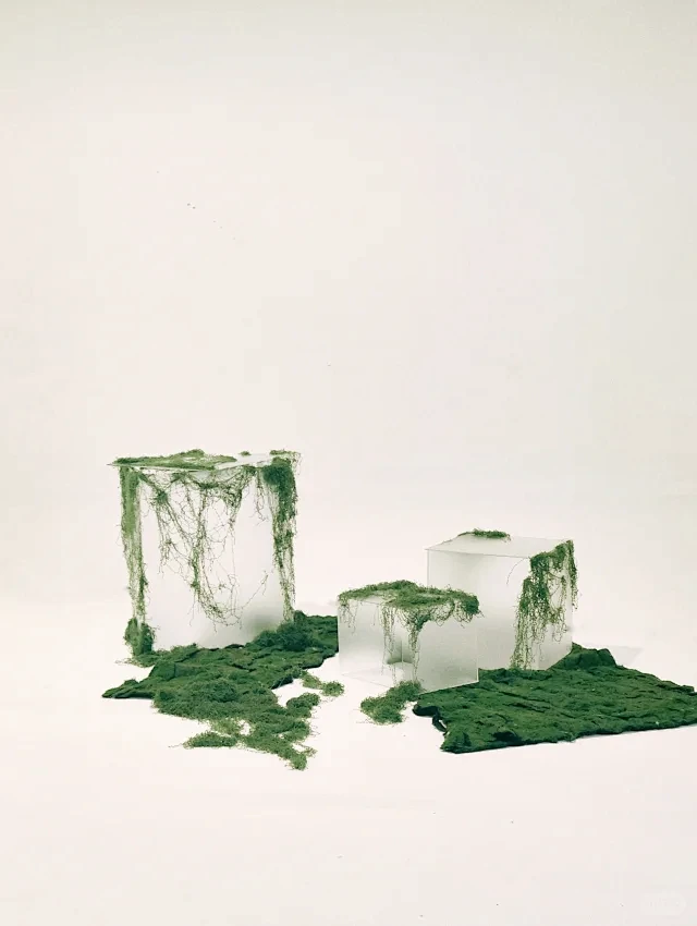 棚拍背景 - 小红书搜索