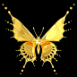 Gold Butterfly