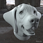 超全面3D脸部特写毛发参考【8100P】-CG角色-微元素 -  Element3ds.com!