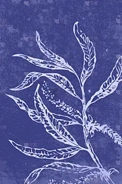 中性墙艺术。抽象画。可打印的插图。现代的乡村墙体装饰为房间.现代住房。壁纸封面设计.