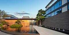 陈蕾O00采集到展示区景观