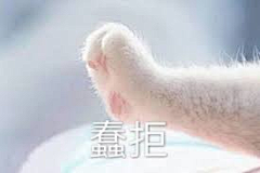 Hey_玖一采集到其他
