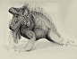 Iguana time , Bobby Rebholz : Sketching iguanas is always fun.  The Red Iguana is my favorite.  It's a living, breathing dinosaur.