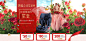 好孩子乐适汽车用品配件天猫女王节 38妇女节banner海报设计 来源自黄蜂网http://woofeng.cn/