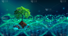 白眼最白采集到养成树 参考